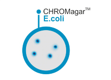 CHROMagar E.coli