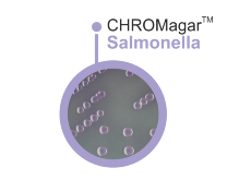 CHROMagar Salmonella