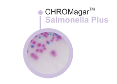 CHROMagar Salmonella